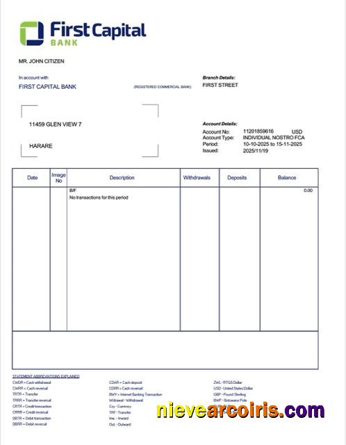 Zambia First Capital Bank account statement Word and PDF